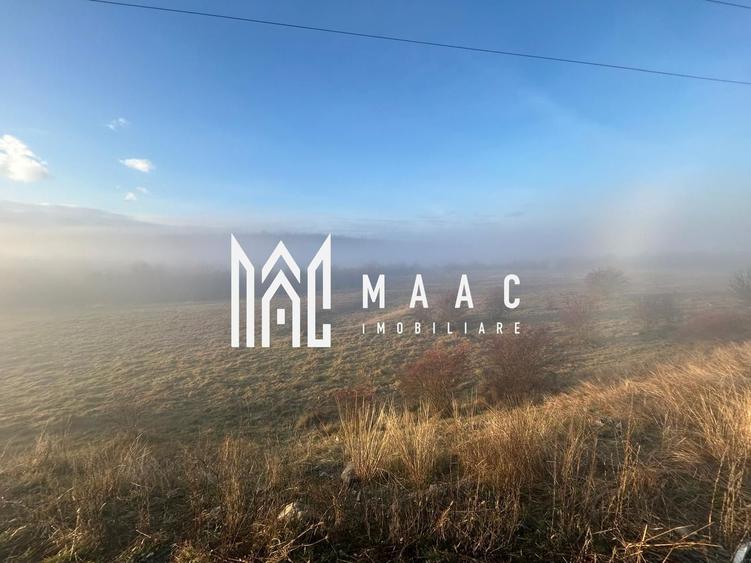 Teren cu potențial turistic I Valea Avrigului I 2900 MP - 6