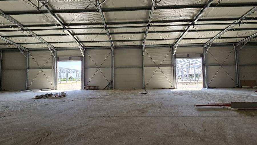 Hale noi in zona Progresul, Jilava - 4