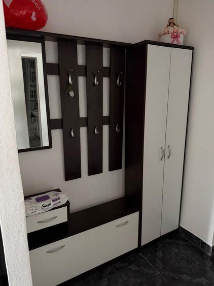 Apartament 1 camera- Nufarul- de inchiriat - 3