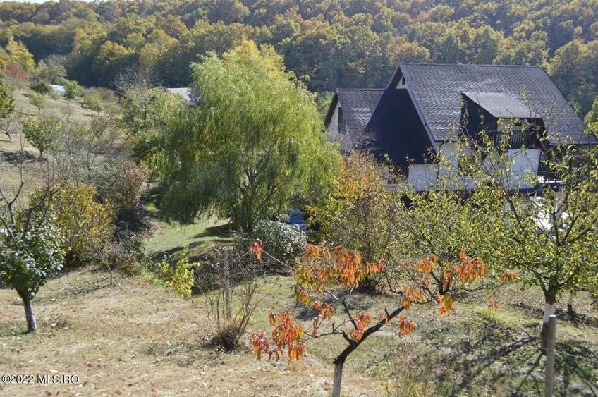 Topoloveni - Conacul Ion Mihalache, Domeniu pe 5 Hectare! - 9