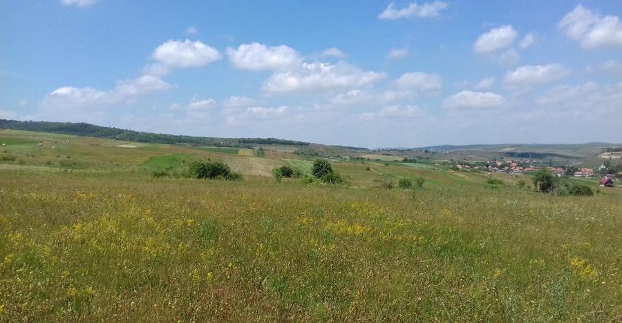 Vand teren intre Popesti si Corusu(jud. Cluj),in apropierea padurii - 10