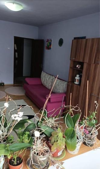 Apartament  2 camere-Astra-Steagul - 3