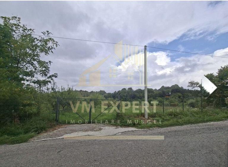 TEREN 20.621 MP CAMPULUNG - 11