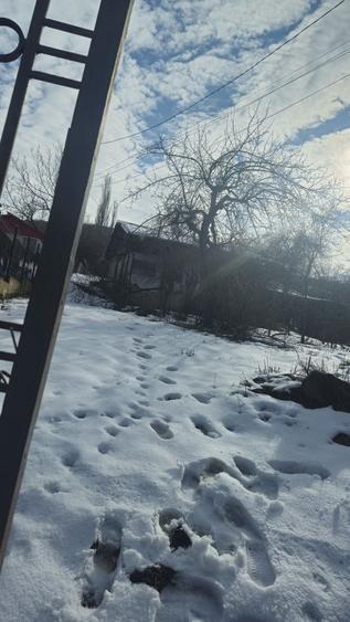 Casa si teren de vanzare. - 3