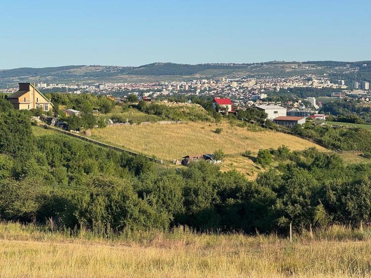 Teren parcelabil 5300 mp zona Lomb - 4