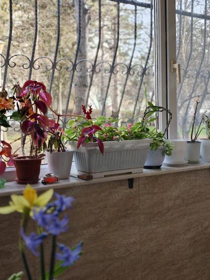 Vand apartament 3 camere decomandat - 10