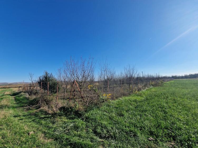 Vanzare teren în localitatea Răscruci - 4