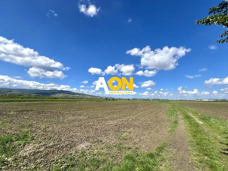Teren Construcții intravilan de 5360 mp, în Exterior Sud
