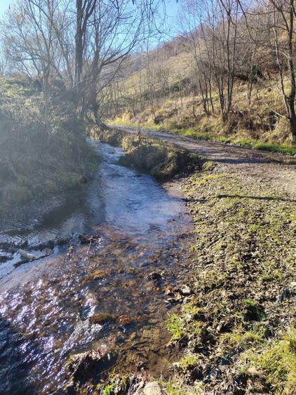 Teren cu Parau Muntele Baisorii - 2