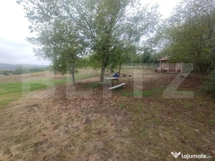Cabana + teren intravilan, 50 ari, oras Beclean - 2