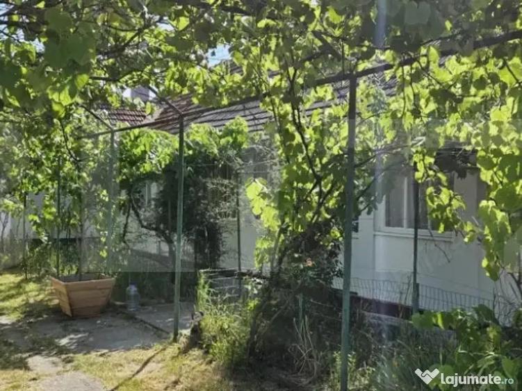 Vand casa Comuna Nitchidorf Judetul Timis - 4