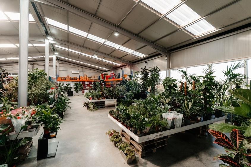 Spatiu industrial de 457mp de vanzare in zona Calea Santandrei - 3