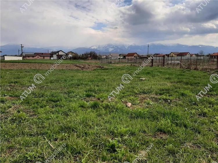 eren intravilan 1400 mp de vanzare pe Valea Avrigului - 4