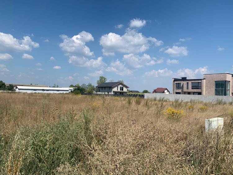 OPORTUNITATE DEZVOLTARE REZIDENTIALA 5895mp HARMAN - 3