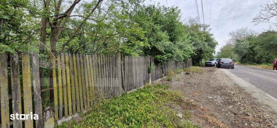 DOMENIU POLIVALENT: Ideal pentru 2 Familii sau Afacere La Cheie | T - 3