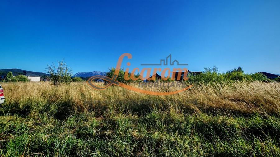 Teren intravilan 1000 mp pt construcții case Cristian str Nisipului - 3