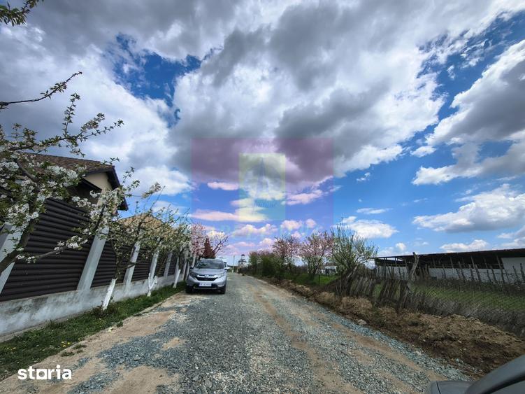 Teren de 1700 mp, în Cernica