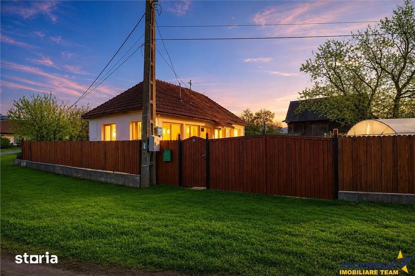 FILM! Casa cu sura, pivnita, balta cu pesti, 2.280 mp teren roditor, L - 1