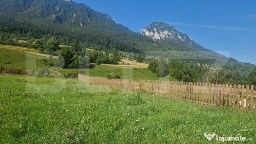 Teren de 1004 mp, în Zărnești