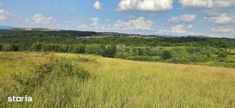 Teren de 9528 mp, în Vârciorog
