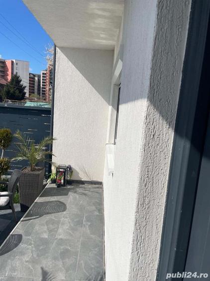 vand duplex lipovei britis scholl aradului - 2