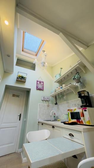 2 Camere Compartimentat in 3 Unitati | Investitie Centru Istoric - 14