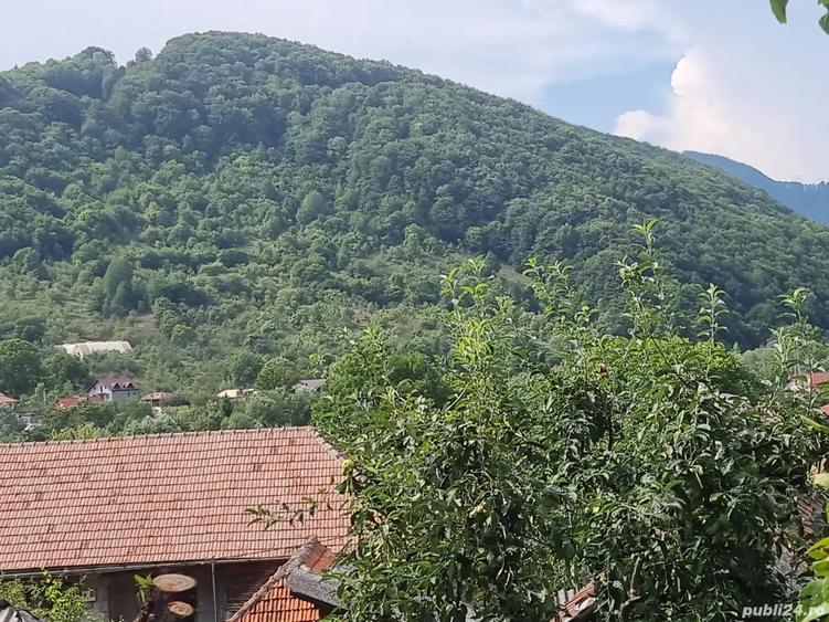 Casa de vanzare ,Moroeni-Pucheni Dambovi?a - 5