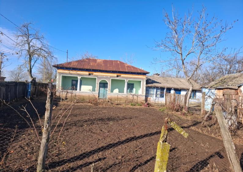 Casa in Sat Segarcea Deal jud. Teleorman - 7