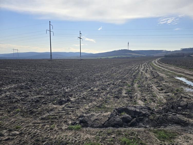 Teren arabil 22800 mp Sebes - 5