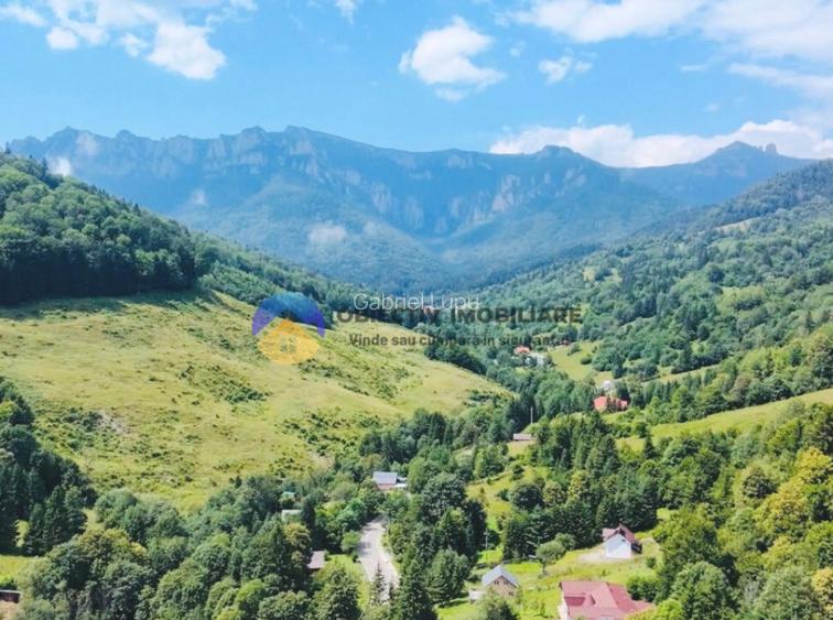 TEREN Izvoru Muntelui, langa orasul BICAZ