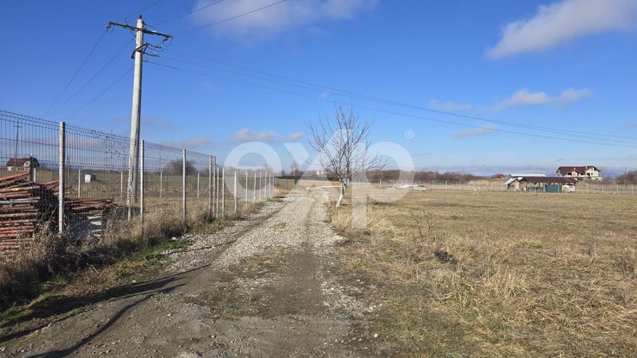 Teren 3.120 mp cu potențial de dezvoltare – Săcele | Posibilitate PUZ - 7