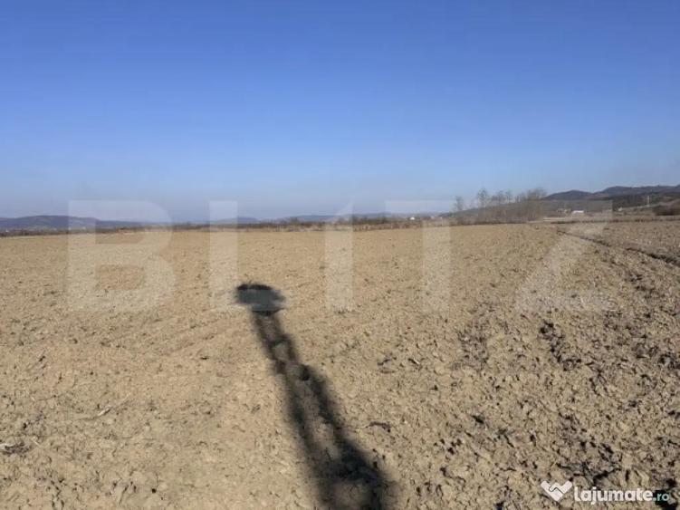 Teren extravilan 8.100 mp, zona Samarghita - 1