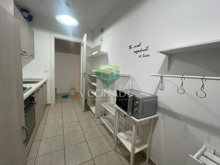 Apartament 2 camere de inchiriat in Aviatiei - City Point - 21