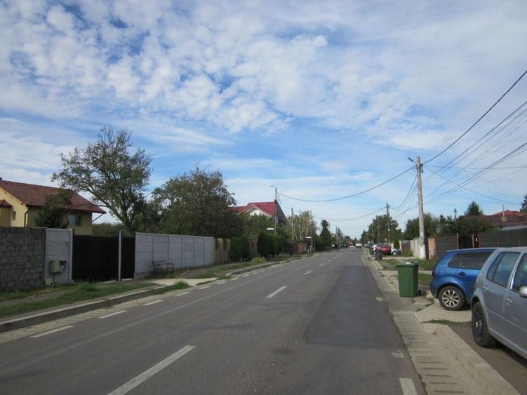 Domnesti Ciutaci-Zorelelor - 2