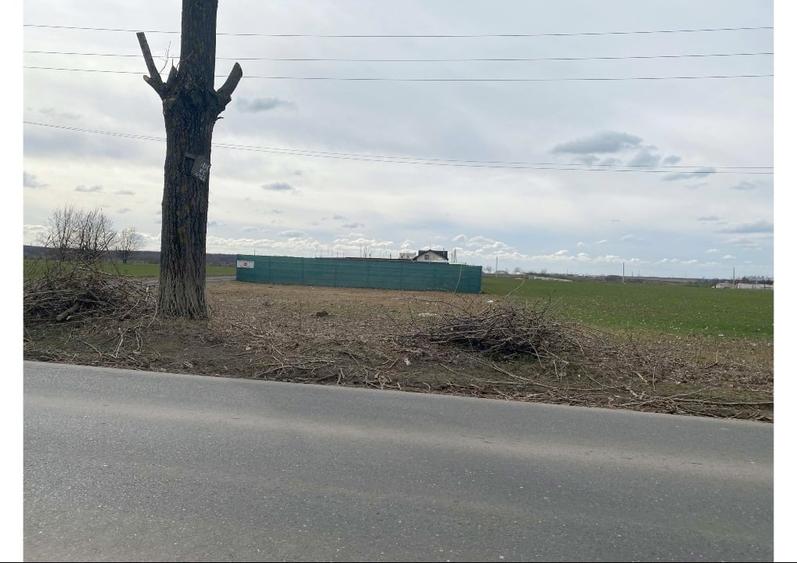 Teren intravilan 665 mp  (550m2 utili) – la șosea principală - 7