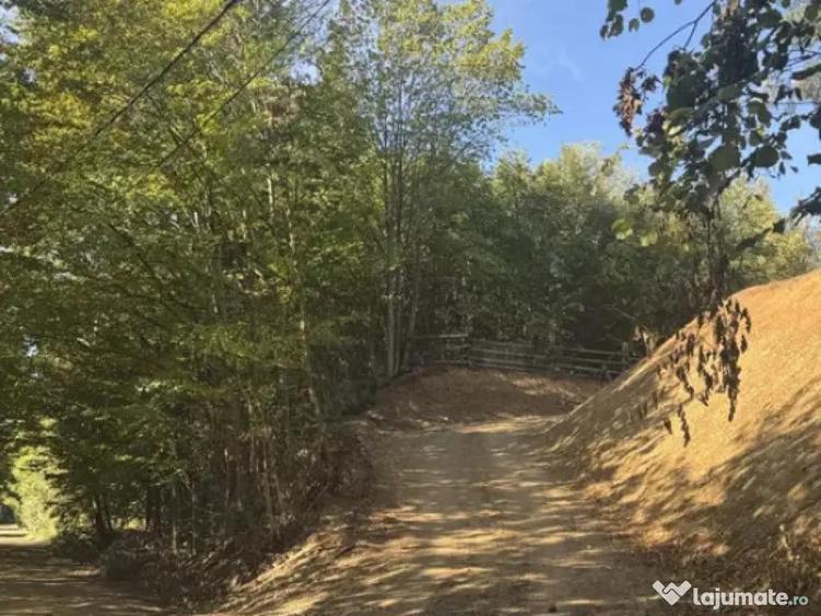 Teren , platou drept, 6000mp , Sucevita - 2