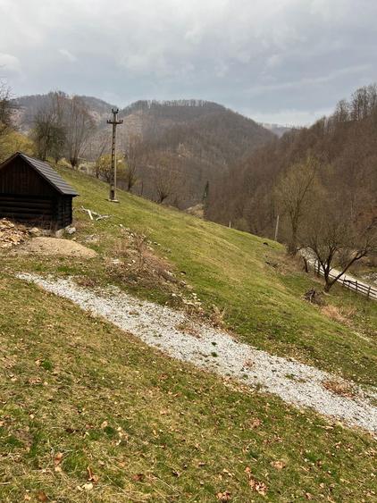 Teren intravilan 12.800 mp investitie - 5