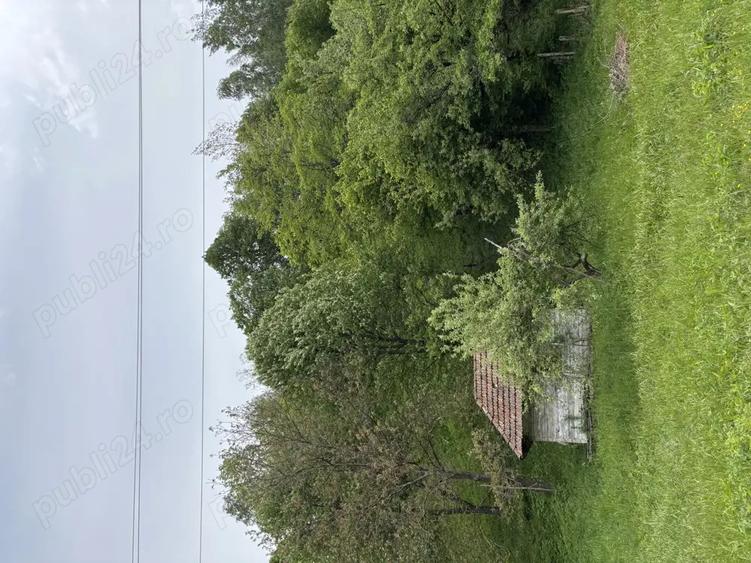 Vand casa ?i teren in Munteni, comuna Bulz, cu ie?ire la DJ - 2