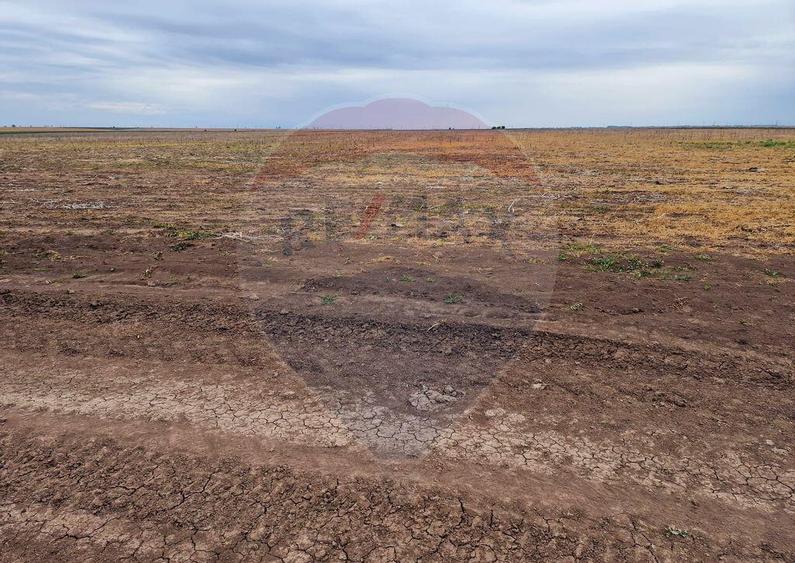 Teren 56,700mp Mischii / Strada Eroilor - 7