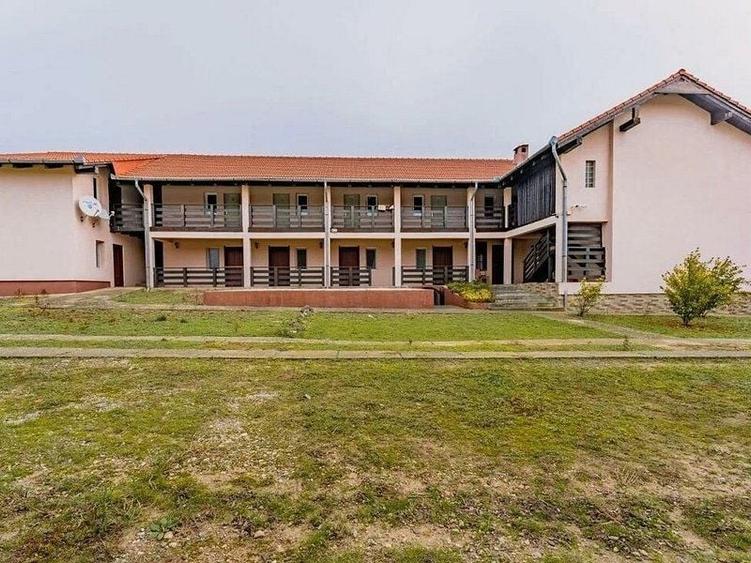 Oportunitate de investitie, o cladire D+P+M rustica in comuna Pischia - 1