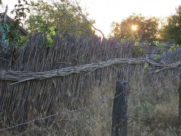 Teren intravilan in Delta Dunarii, C.A. Rosetti - Cardon - 10