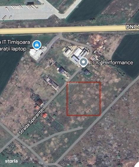 Dumbravita Teren intravilan de vanzare - 3