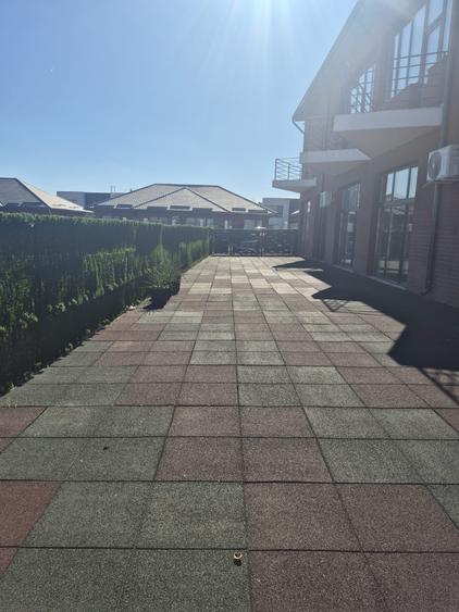 SPATIU COMERCIAL LIPIT PENNY - 6