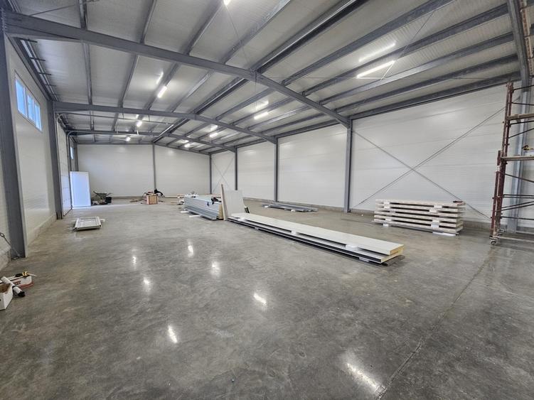 Hale noi depozitare Lugoj diferite dimensiuni 115 mp - 530 mp utili!! - 4