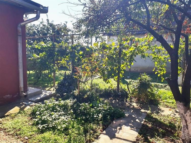 Casa cu teren in Cefa cu dublu front stradal - 8