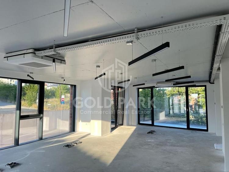 Spatiu de Birouri/Cladire de Birouri-Zona Europa-Garaj/Parcari/Curte - 3