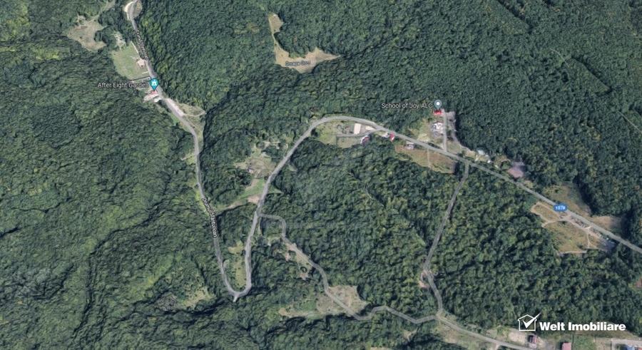 Posibilitate investitie,teren in Faget, Drumul Sfantului Ioan,UTR-Aapp - 2