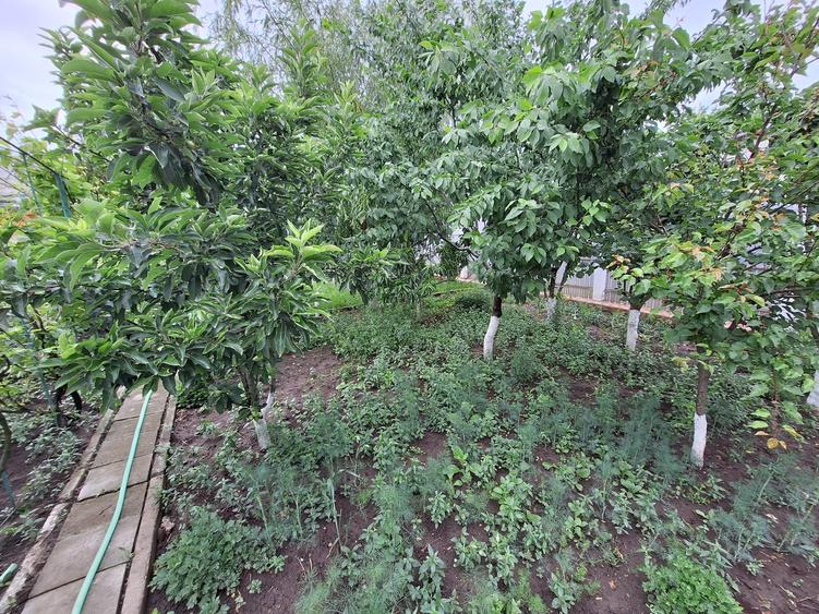 Casa cu 5 camere la 500 metri de LIDL piata centru - 7