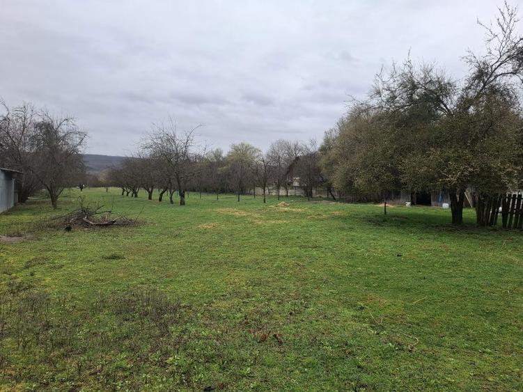 Teren de vanzare Gheboieni DB intravilan+extravilan - 3