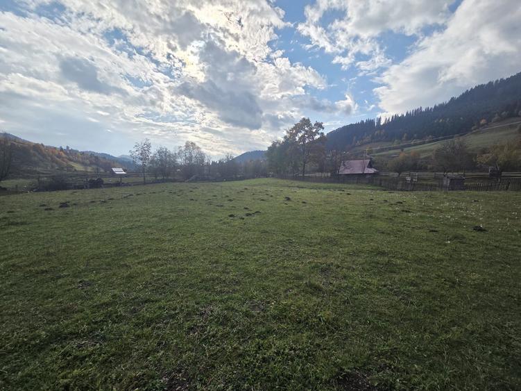 Pamant intravilan de vanzare - 5